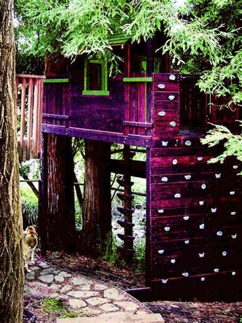 Treehouse Climbing Wall Shed Images Tree House Outdoor Structures