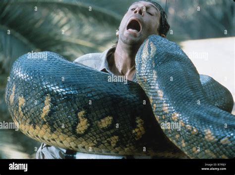Anaconda Serpent Snake Peru Hi Res Stock Photography And Images Alamy