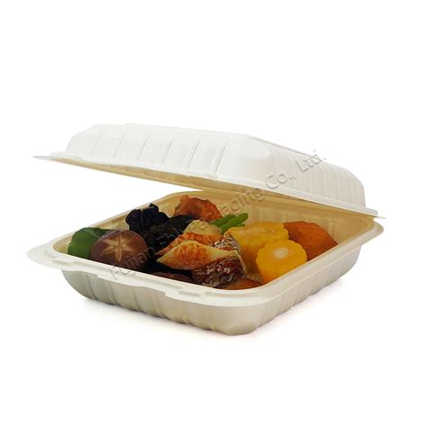 1 Compartment Biodegradable Disposable PP Meal Prep Container Bento