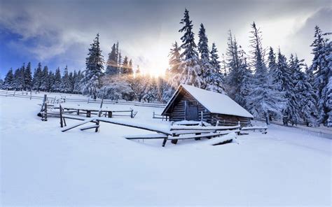 The Cabin Woods Winter Barn Fence Android Wallpapers For