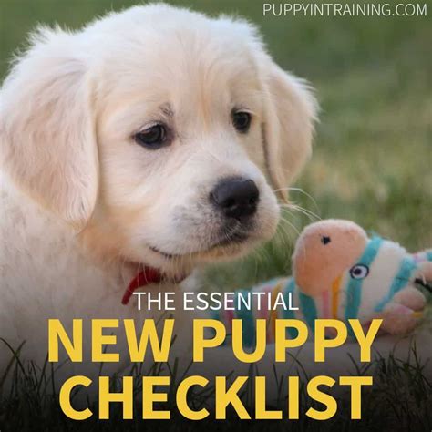 Veterinary care for your new puppy. New Puppy Checklist - I'm Getting A New Puppy, What Do I ...