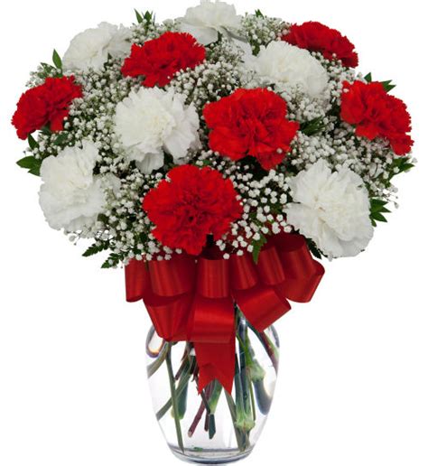 12 Red And White Carnations Cd12aa Canada Flowers