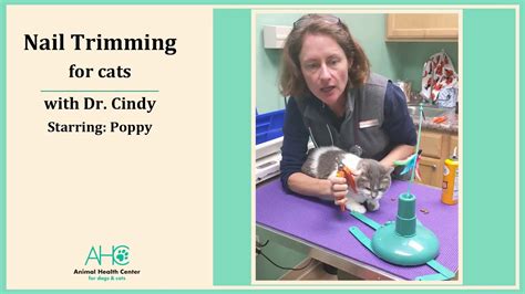 Nail Trim: Cats - YouTube