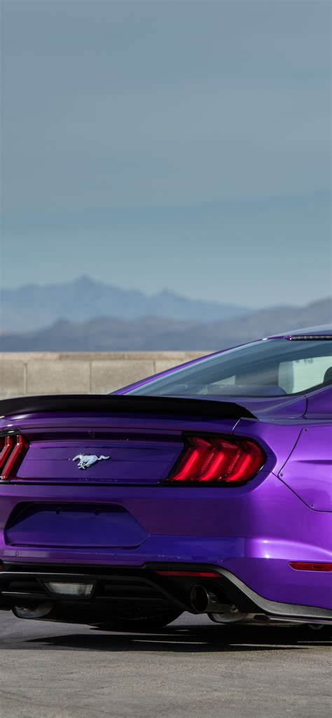 1125x2436 Tjin Edition Ford Mustang Ecoboost 2018 Rear Iphone Xsiphone