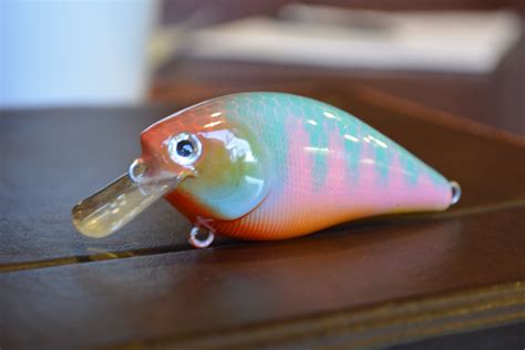 Air brushed plastic lure Fishing Bait, Bass Fishing, Lure Blanks