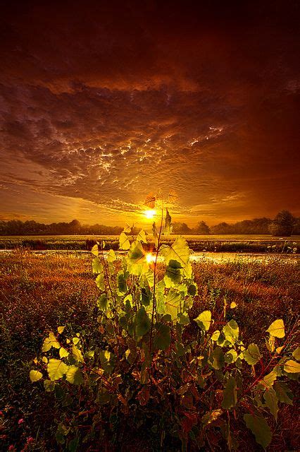 1153 Best Photography Phil Koch Images On Pinterest