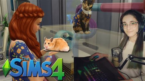 Hamsteri In Sims 4 Gameplay Youtube