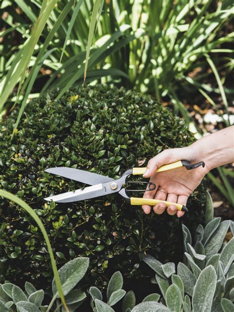 Gr Pro Topiary Clippers Niwaki Shop Now At Gubba