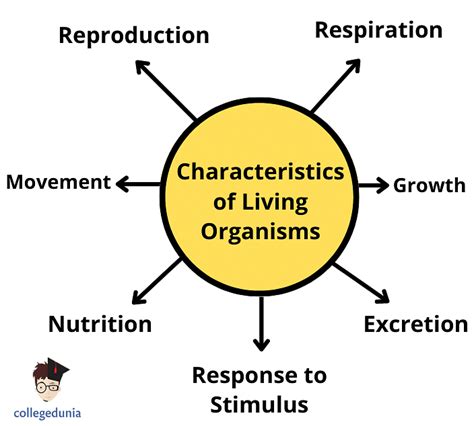 The Living Organisms Characteristics And Habitats Class 6 Notes