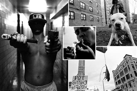 New York Gangsters And Drugs Dealers Photographed In Some Of The Most