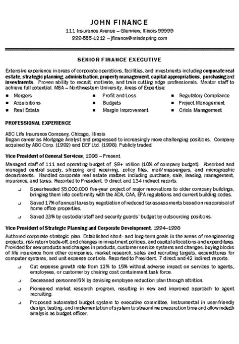 Mba finance & marketing : Executive Resume Example as Writing Guidelines