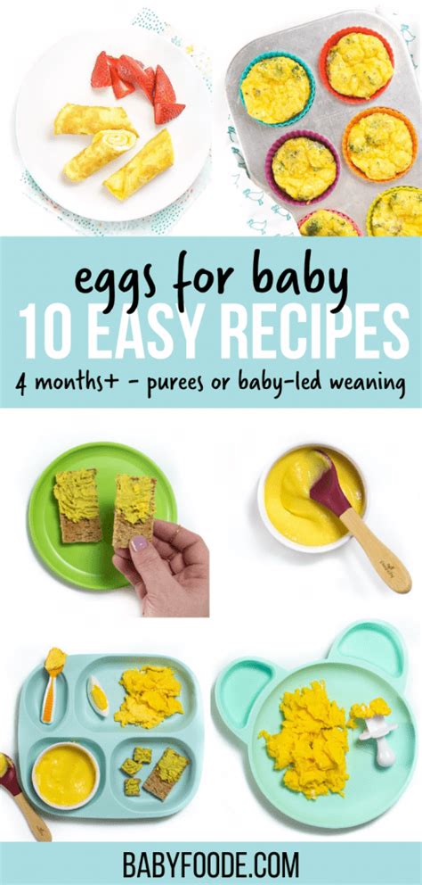 Eggs For Babies 10 Easy Recipes 6 Months Baby Foode Mytaemin