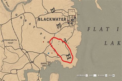 best places to find cougars in rdr2 online hgg