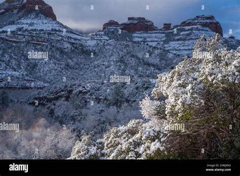 Overnight Snowfall Turns The Red Rocks Of Sedona Into A Blanketed