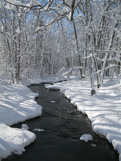 Free Photo Snowy Stream Brook Snow Stream Free Download Jooinn