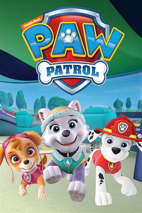 The vehicle number is 08. Watch Paw Patrol Season 5 Online | Stream TV Shows | Stan