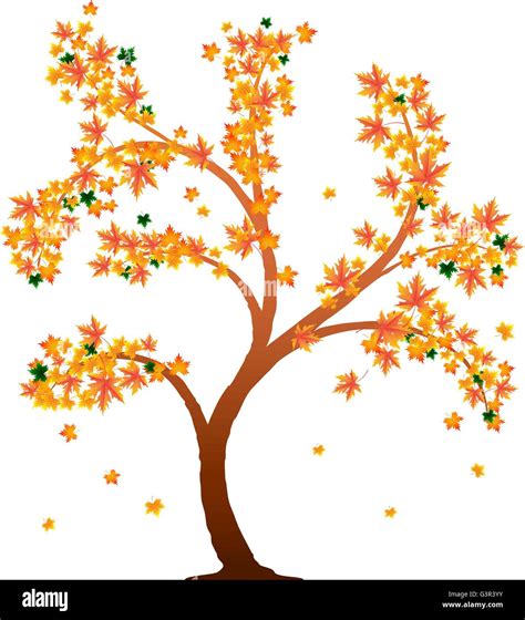 Orange Autumn Tree Stock Vector Image And Art Alamy