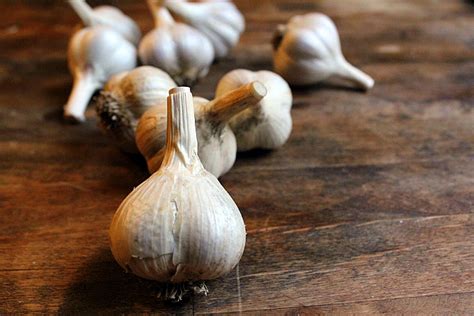 Just fyi you can plant like five plants in each pot. How I Plant, Grow, Harvest, and Store Garlic - Kevin Lee ...