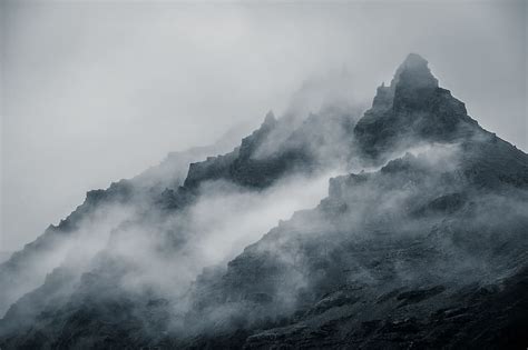 Hd Wallpaper Cold Daylight Fog Foggy Forest Grey Sky Landscape