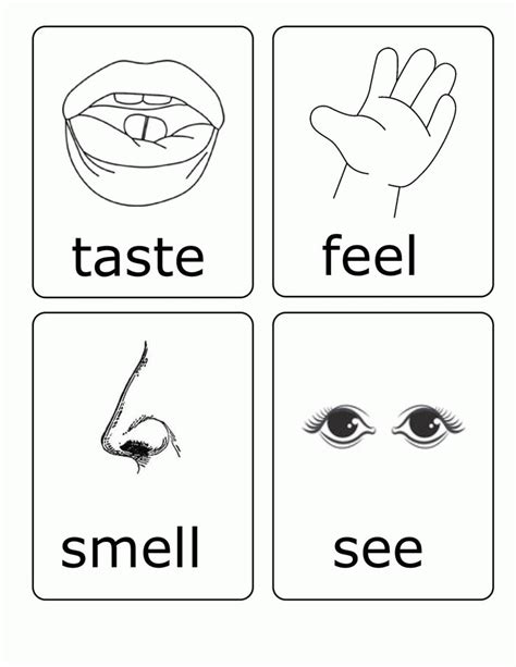 Here forget about all of the tension. Preschool Five Senses Coloring Pages Printable My 5 Senses ...