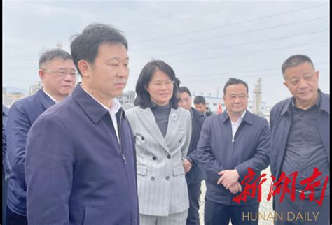 李挚来我区调研 时政新闻 新湖南