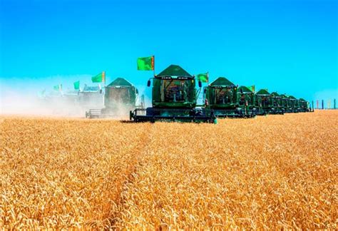 Turkmenistan To Make Immediate Payments To Farmers For Their Harvest