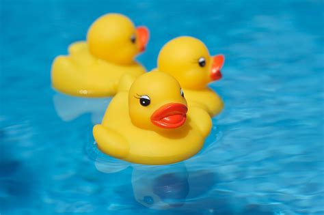 This ducky floats in a sea of pearly iridescent bubbles. Rubber Ducky may not be the friend we thought he was ...