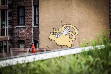 Cat graffiti