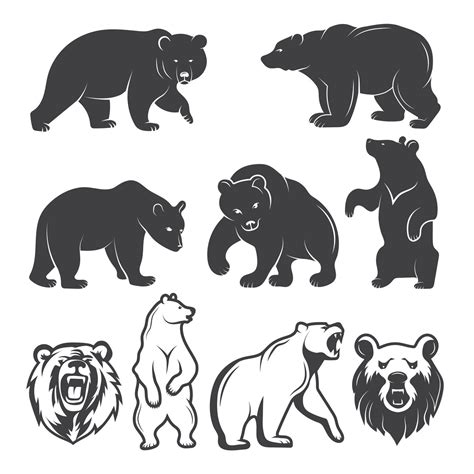 Illustrations Of Bears Vector Animals Set By Onyx Thehungryjpeg