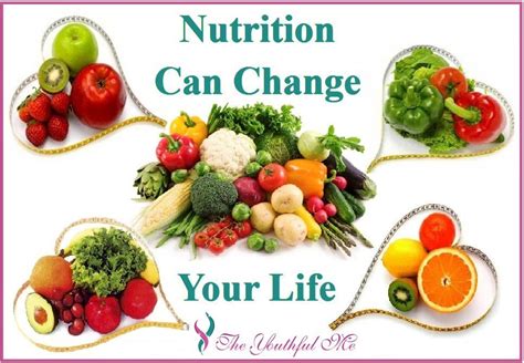 A Healthy Lifestyle Involves Many Choices Among Them Choosing A