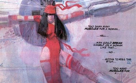 Elektra Assassin Comicdom
