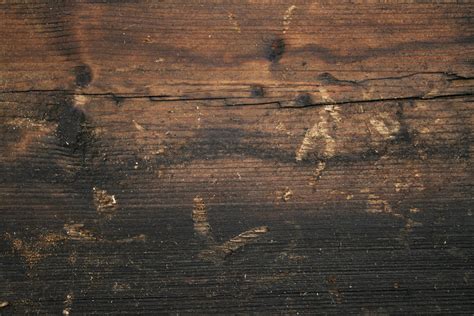 Free photo: Dirty wood texture - Boat, Colors, Dirty - Free Download - Jooinn
