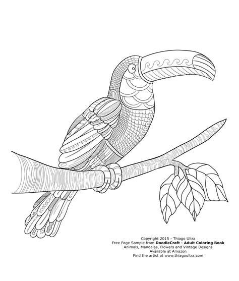 Today we are going to draw a toucan. Toucan - Free Page Sample - DoodleCraft Adult Coloring Book! | Coloring books, Bird coloring ...
