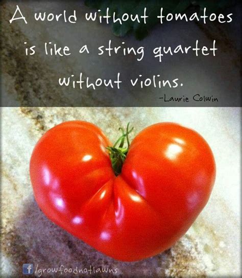 Tomato Quotes Funny Shortquotescc