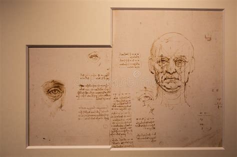 Leonardo Da Vinci Drawings On Handmade Cotton Paper Vintage Background