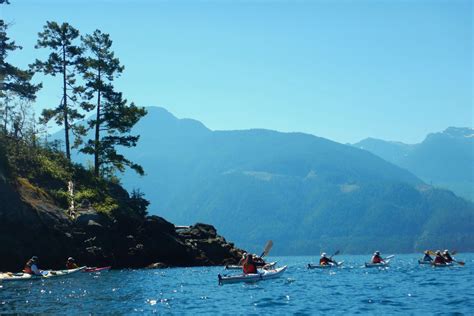 Kayaking With Killer Whales In Bc Spirit Of The West Adventures