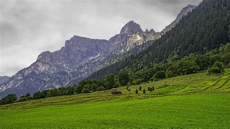Landscape Nature Mountain Forest Alps Clouds Grass Tyrol Austria