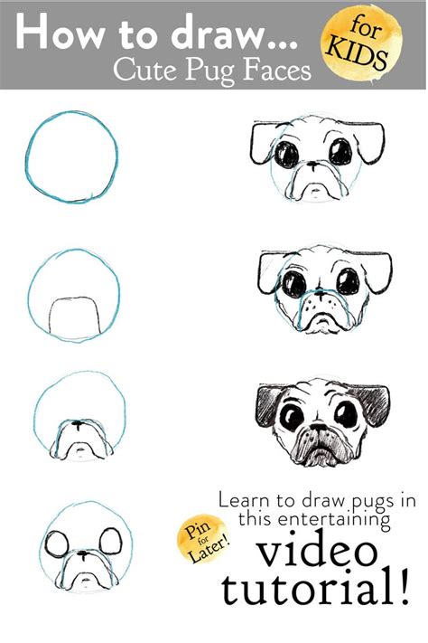 Https://tommynaija.com/draw/how To Draw A Pugs Face
