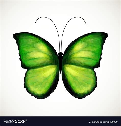 Bright Green Butterfly Royalty Free Vector Image