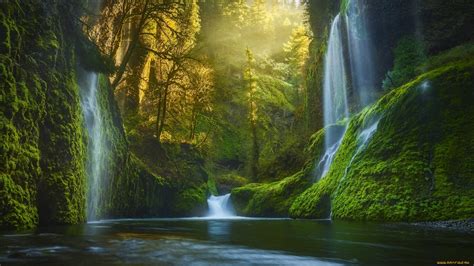 19 Forest Waterfall Wallpapers Wallpaperboat