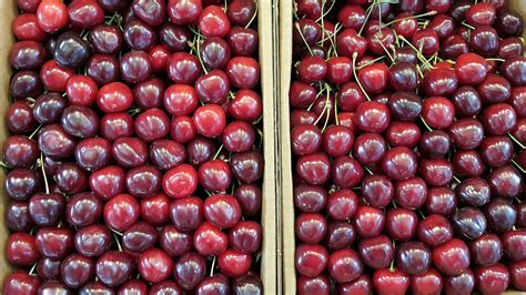 Types Of Sweet Cherries From Bing To Tulare