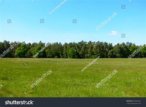 Treeline Behind Summer Field Stock Photo Edit Now 370365707