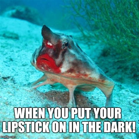 50 Fish Memes That Will Have You Reeling With Laughter Always Pets