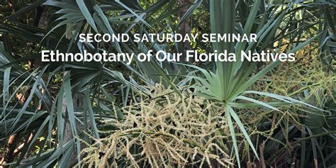 Second Saturday Seminar Ethnobotany Of Our Florida Natives Miami Beach Botanical Garden