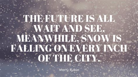 20 Quotes On Snowfall That Will Give You Warmth Quotekind