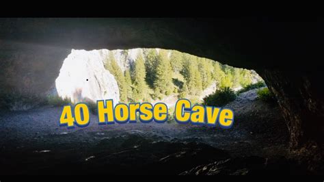 40 Horse Caveautum Aerial View Youtube
