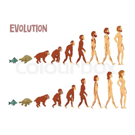 Evolution Of Man Vector At Collection Of Evolution Of