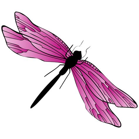 Dragonfly Clipart Images Free Download Dragon Fly Png Free