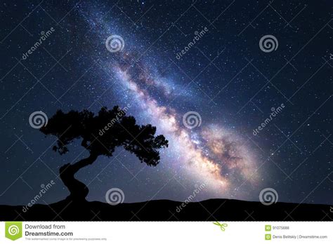 Milky Way With Alone Old Tree On The Hill Stock Photo
