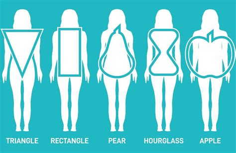 Reacţie Iad La Fel De Types Of Body Shapes Female Din Timp Conştient Pinion